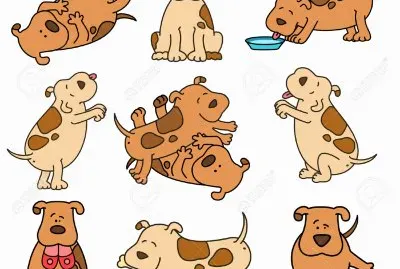 PERROS