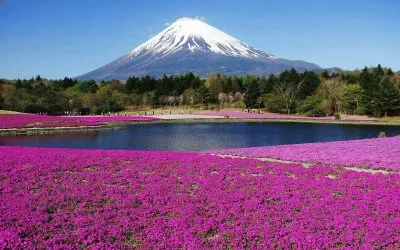 El Fujiyama. JapÃ³n jigsaw puzzle