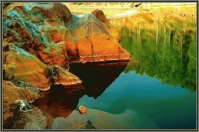 naturaleza jigsaw puzzle