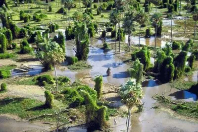 פאזל של BaÃ±ados La Estrella. Formosa. Argentina