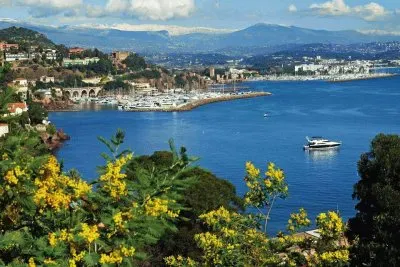 פאזל של NÂº 537