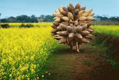 vietnan national geographic