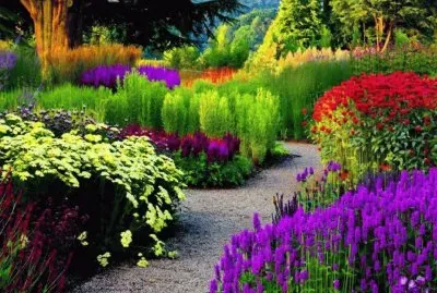 jardim jigsaw puzzle