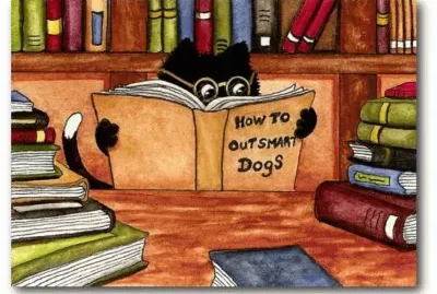 How to outsmart Dogs