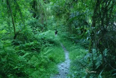 Chicligasta. TucumÃ¡n. Argentina jigsaw puzzle