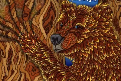 Hidden in the Forest