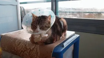 chutt, dodo aprÃ¨s mes mistoufles !