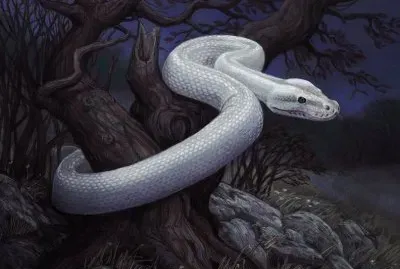 Serpiente blanca
