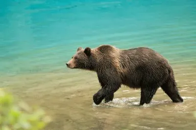 paisajes jigsaw puzzle