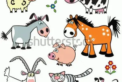 vaca