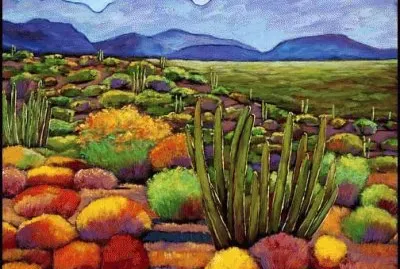 פאזל של Arizona Desert Tucson