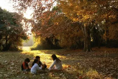 En el parque. Mendoza. Argentina jigsaw puzzle