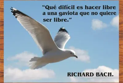 RICHARD BACH.