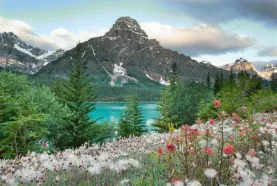 61 jigsaw puzzle