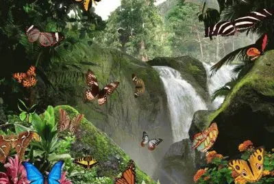 mariposas jigsaw puzzle