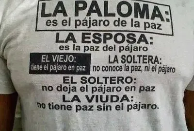 El pÃ¡jaro