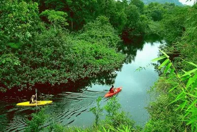 Amazonia jigsaw puzzle