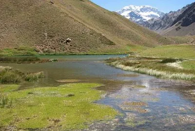 PN Aconcagua. Mendoza. Argentina