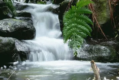 RÃ­o Negro. Argentina