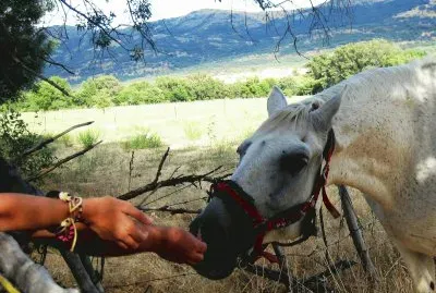 Â¿quieres un bocadito?