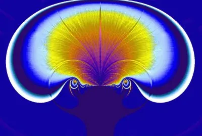 Magic Mushroom