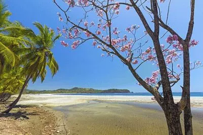 Playa Carrillo. Costa Rica jigsaw puzzle
