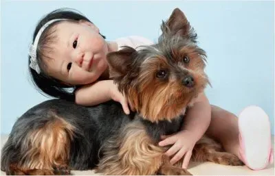 BICHINHOS DE ESTIMAÃ‡ÃƒO