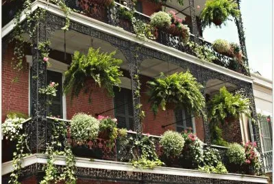 פאזל של NÂº 718