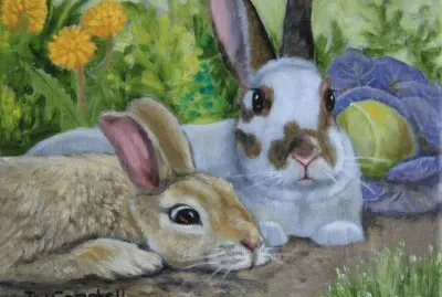 פאזל של coelhos