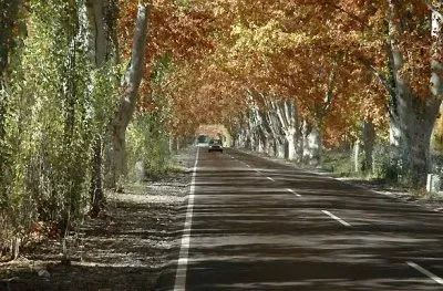 Por las rutas de Mendoza. Argentina jigsaw puzzle