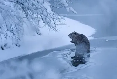 montana national geographic