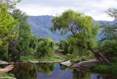 פאזל של Nono. CÃ³rdoba. Argentina