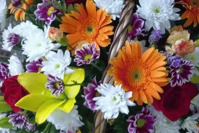 Flors