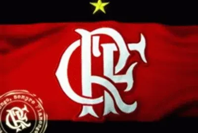 flamengo jigsaw puzzle