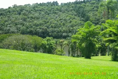 VegetaÃ§Ã£o Mata AtlÃ¢ntica