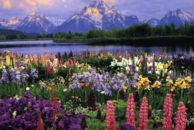 Patagonia-Xile jigsaw puzzle