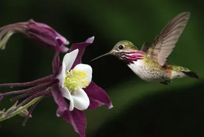 maravillosa naturaleza