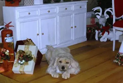 Esperando la Navidad