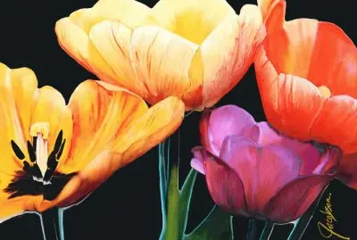 Tulips Black
