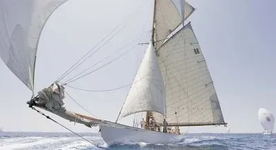 velero