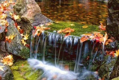 cachoeira jigsaw puzzle