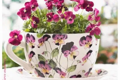 פאזל של xicara com flores
