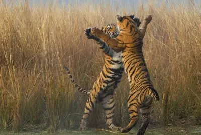national geographic la india ante el espejo