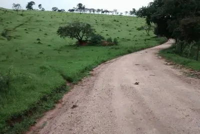 Pastagem