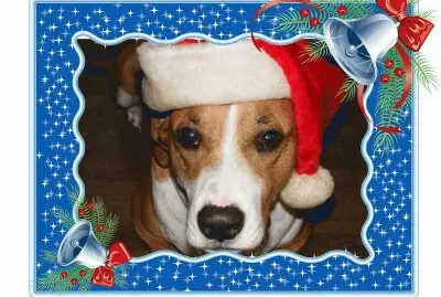 פאזל של My puzzles