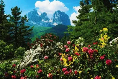 Sassolungo val gardena. Italia