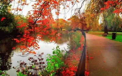 NÂº 788 jigsaw puzzle