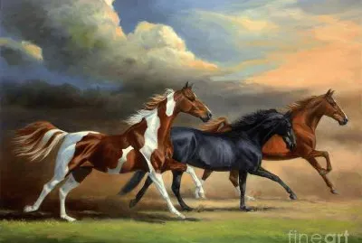 cavalos