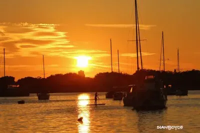 Davis Island Sunset,Tampa Fl.