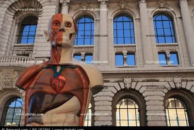 FaraÃ³n jigsaw puzzle